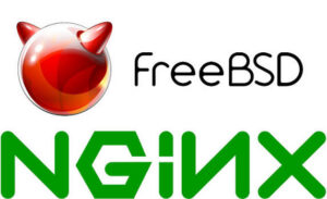 Как установить Nginx, MySQL и PHP-FPM (FEMP) на сервер FreeBSD 10.1