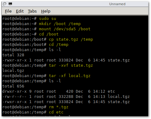 Выполнение команд для сброса пароля root на VMware ESXi