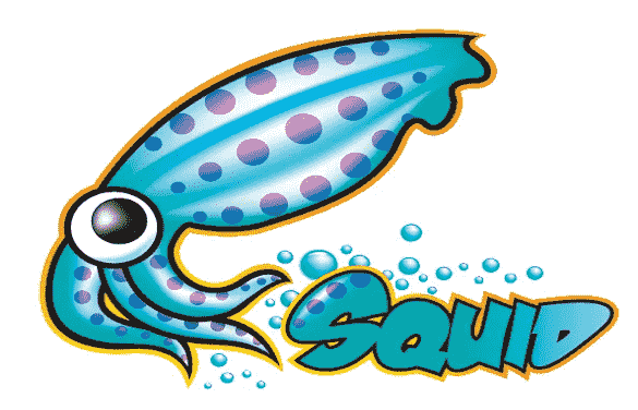 Пускаем весь трафик Squid через другой прокси