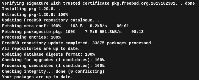 Обновление системы FreeBSD 15