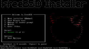 Установка FreeBSD 15 пошагово