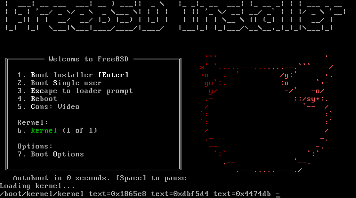 Установка FreeBSD 15 пошагово